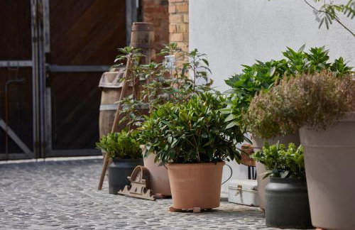 Winzerlodge, Wohnung Riesling - Foto 9