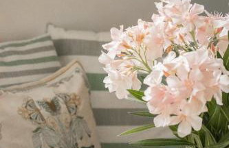 Patmos Traditional House Chora near the Monastery - Foto 48