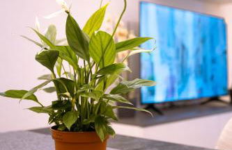 Song House Apartment centro storico 7 pax - Foto 27