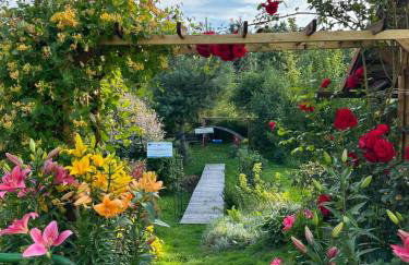 Mr. Sowa Sokolec - Foto 32