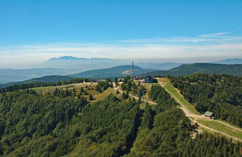 Miodowy Zakątek - Photo 42