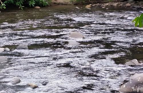 Chácara Morretes Arraial - Piscina e Rio - Photo 71