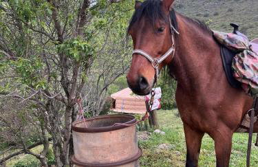 Yourte Mongole Insolite - Gîte Saint Roch - Foto 19