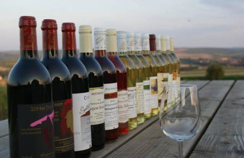 Gästehaus Maurer - Foto 18