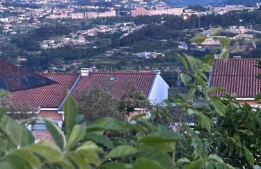 Casa das Mouras- Rio de Moinhos - Foto 35