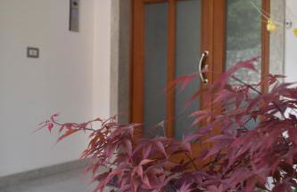 La Masera Holiday - Vigneto - Foto 6