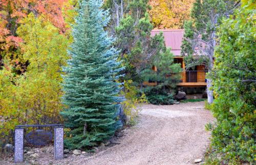 The Hideaway Concealed Cabin East Zion & Bryce - Photo 33