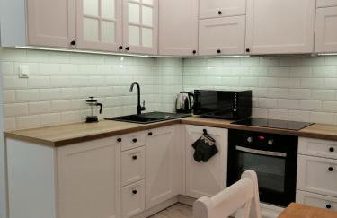 Apartamenty Homole C2 Szczawnica - Photo 7