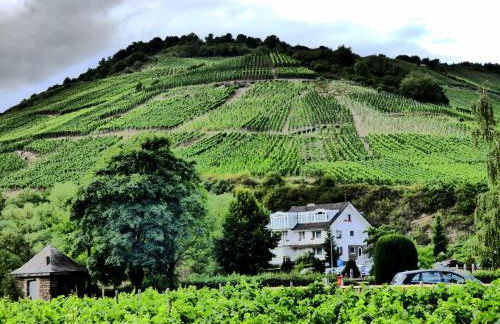 Relaxen im alten Winzerhaus Fewo EG - Foto 68