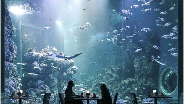 Oman Aquarium Tickets - Foto 3