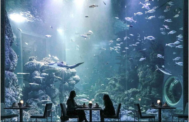 Oman Aquarium Tickets - Foto 3