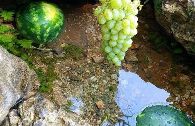 Apartman Milanko - Foto 25