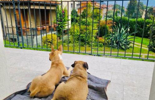 Villa Anna - Lake View Apartments - Foto 10