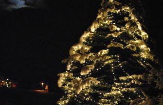 FeWo am Pochwerk-Badeteich - Foto 31