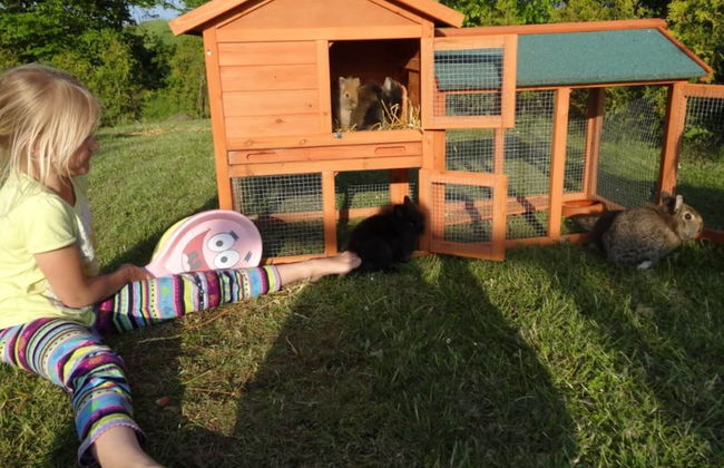 Elegant Mansion in Bastorf near Sea - Foto 22