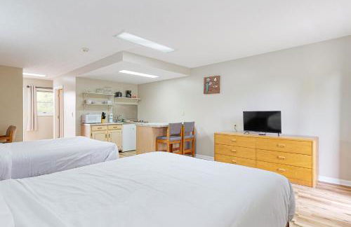 Close to Douglas Lake Picnic Area Gym Dog Friendly - Foto 1