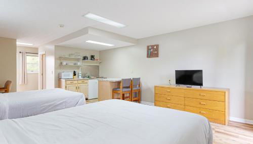 Close to Douglas Lake Picnic Area Gym Dog Friendly - Foto 1