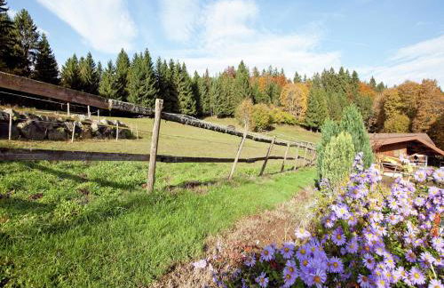 Apartment in Dachsberg-urberg - Foto 46