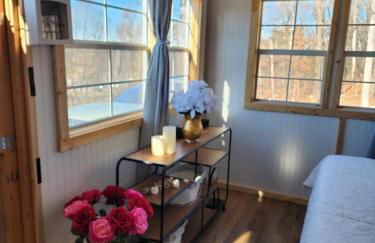 Chasing Views Tiny House - Photo 21