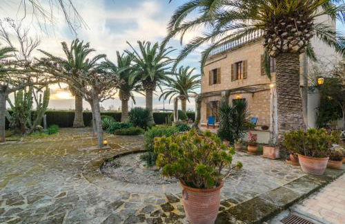 Sort Nova - Photo 28