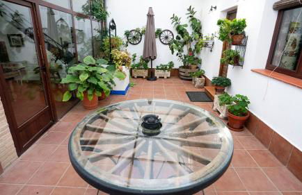 CASA RURAL QUIJOTE Y SANCHO - Photo 2