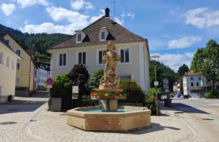 Schwarzwaldraum Schlossblick - Foto 28