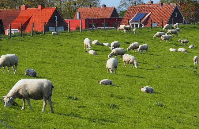 Villa Garden Cloud 7 - Foto 22