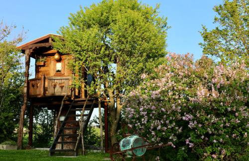 La collina dei ciliegi - Foto 13