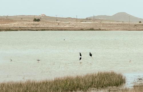 Surf-themed stone house at Kalliopi 2 - Foto 51