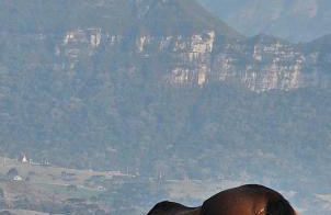 Refúgio da Montanha Brasil - Photo 43