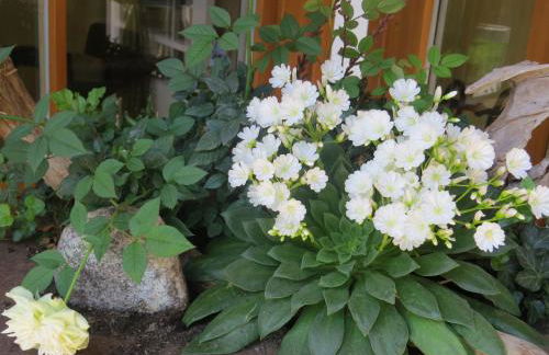 Appartementhaus Silvia - Foto 46