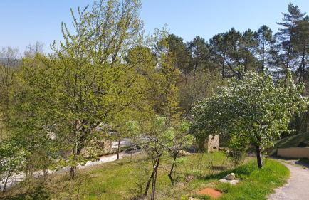 Salamandre 2 proche de Sarlat de 1 à 5 personnes - Foto 47