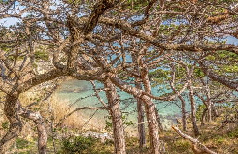 Gorgeous Apartment In Novalja - Photo 6