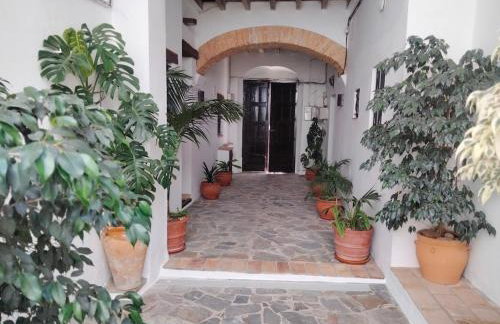 Verde Oliva apartamento - Foto 51