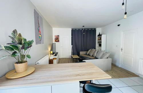 Cocon Lyon, terrasse, WIFI, bus - Foto 3