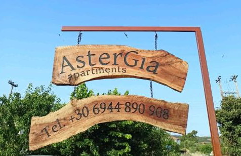 Chalkidiki AsterGia apartments - Photo 4