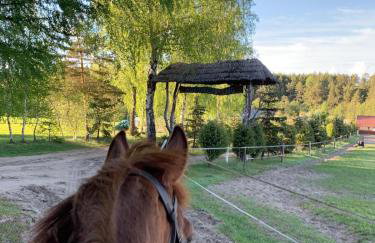 Dom Geografów - Foto 16