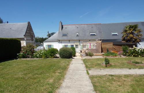 La ciboulette - Foto 10