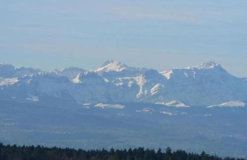 Ferienhaus in Markdorf mit Pool - Foto 40