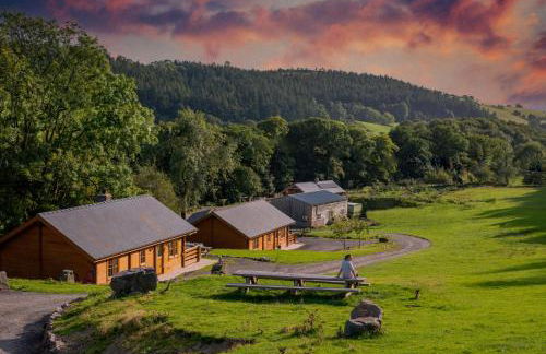 Bothy Cabin -Log cabin in wales - with hot tub - Foto 25