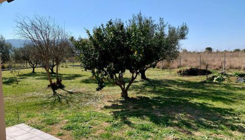 Kite Apartment - Foto 5, Garden