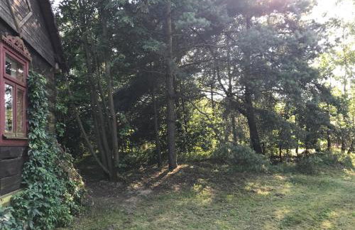 Siedlisko Nasza Chata - Foto 33