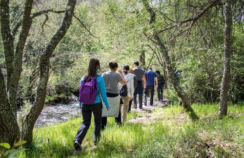 El Patio de la Morera - Foto 67