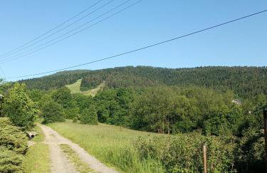 Słoneczna Chata Pod Śnieżnicą Kasina Wielka - Foto 2