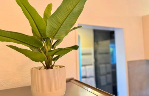 Garden Gallery - Boutique Apartment - Photo 37