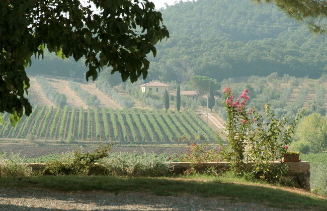 Farmhouse in Umbertide With Pool - Foto 39