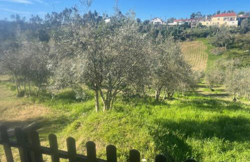 Casa Água - Foto 28