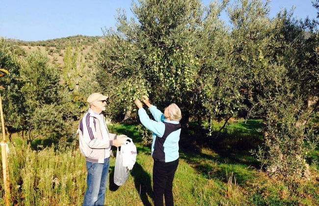 Villa Demeter Country Haus - Foto 18