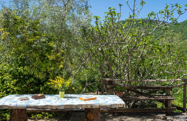 3 bedroom House in Pontassieve with private pool and garden - Photo 30