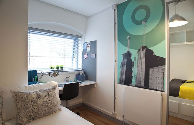 Student Only OLIB - Foto 6